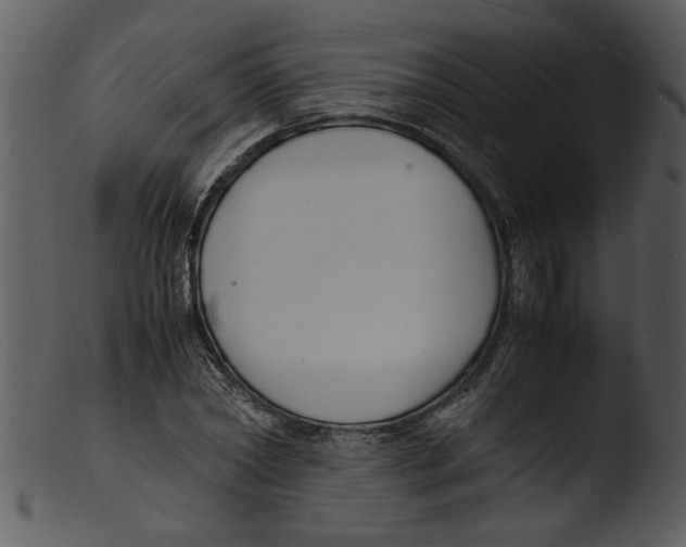 X0000103290782200809261248