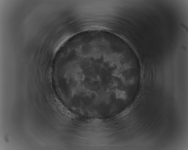 X0000103290783200809261248