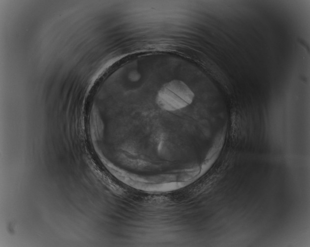 X0000103290784200809261248