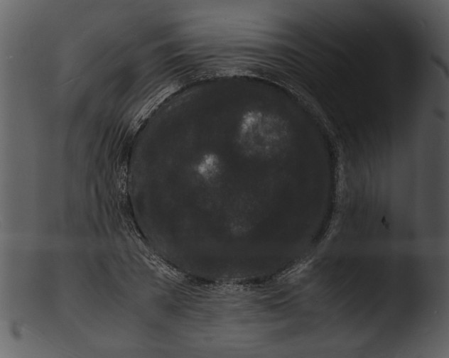 X0000103290785200809261248