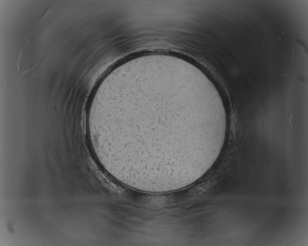 X0000103290791200809261248