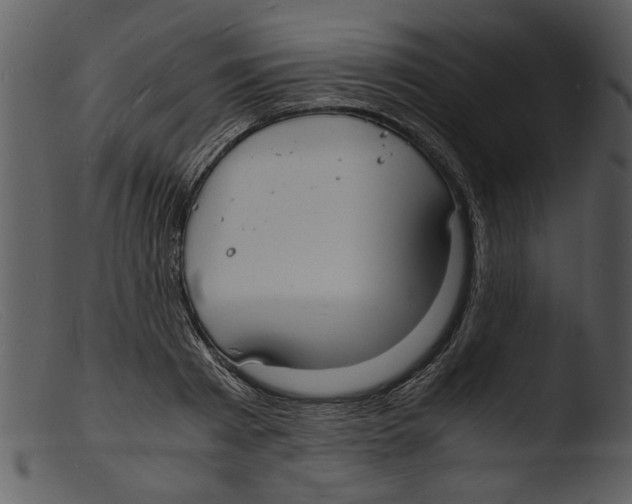 X0000103290793200809261248