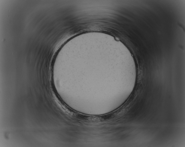 X0000103290795200809261248