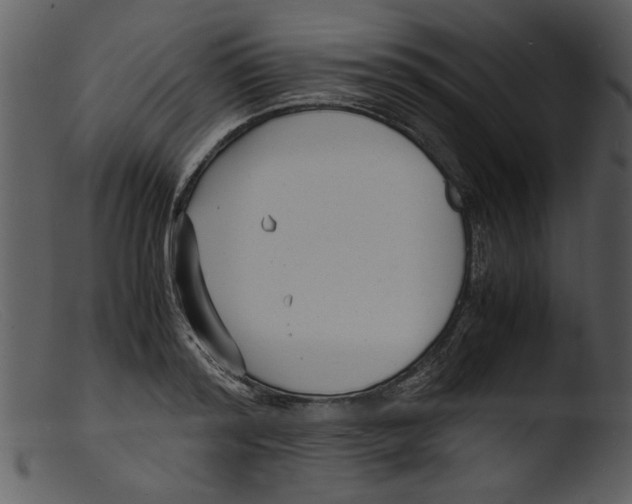 X0000103290796200809261248
