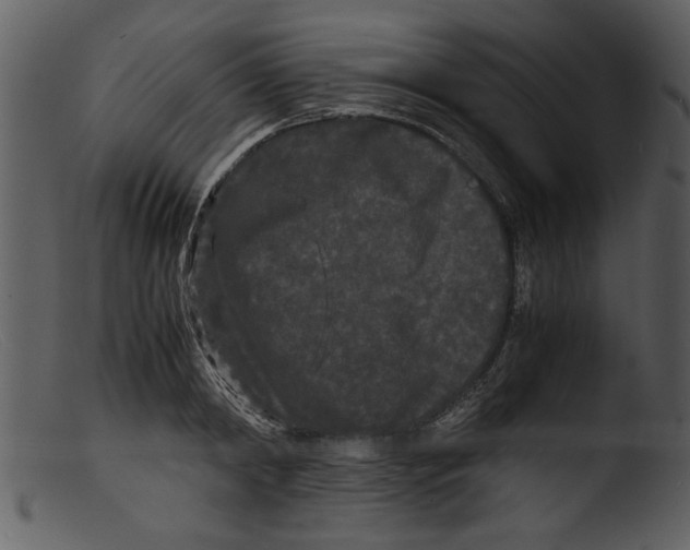 X0000103290798200809261248