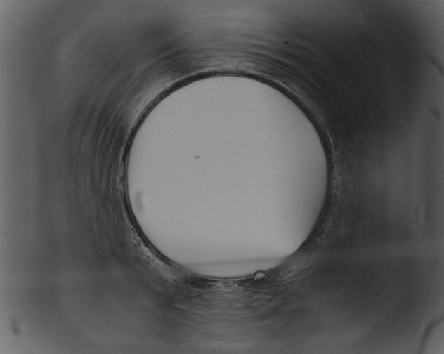 X0000103290799200809261248