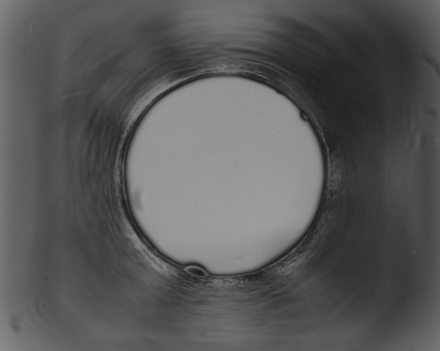 X0000103290803200809261248