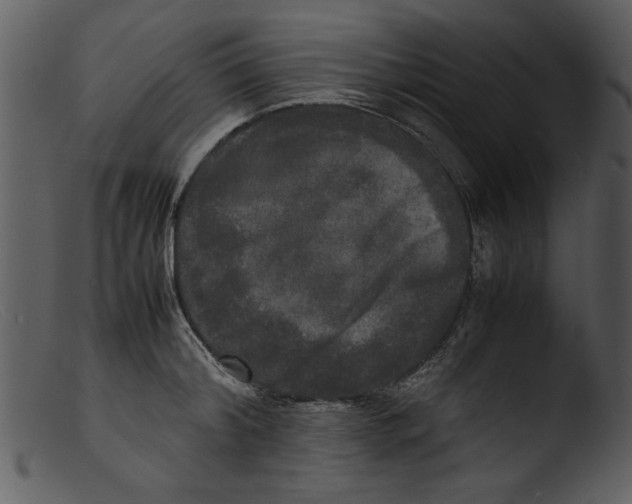 X0000103290804200809261248
