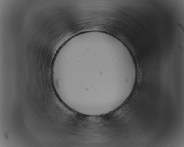 X0000103290805200809261248