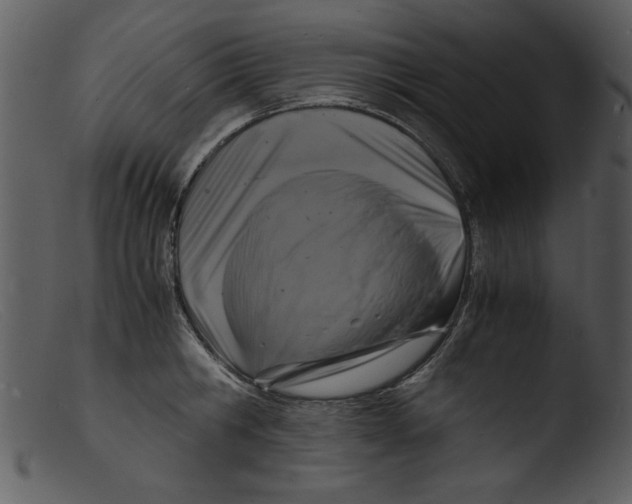X0000103290806200809261248