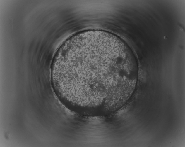 X0000103290807200809261248