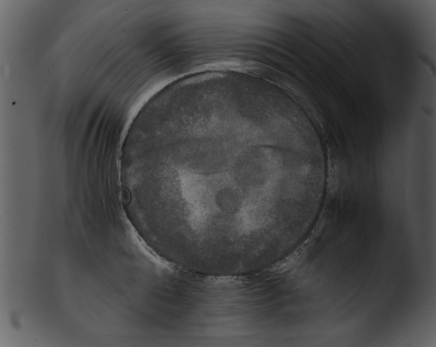 X0000103290808200809261248