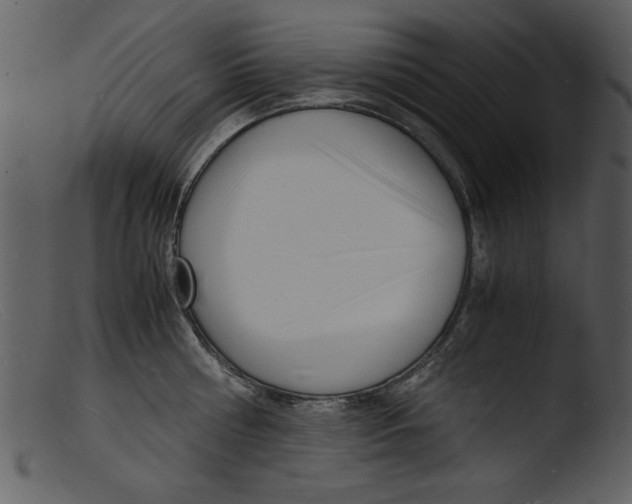 X0000103290810200809261248