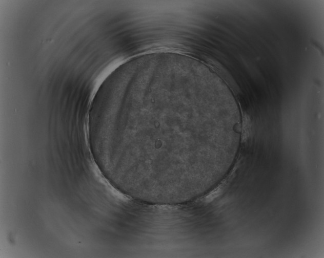 X0000103290812200809261248