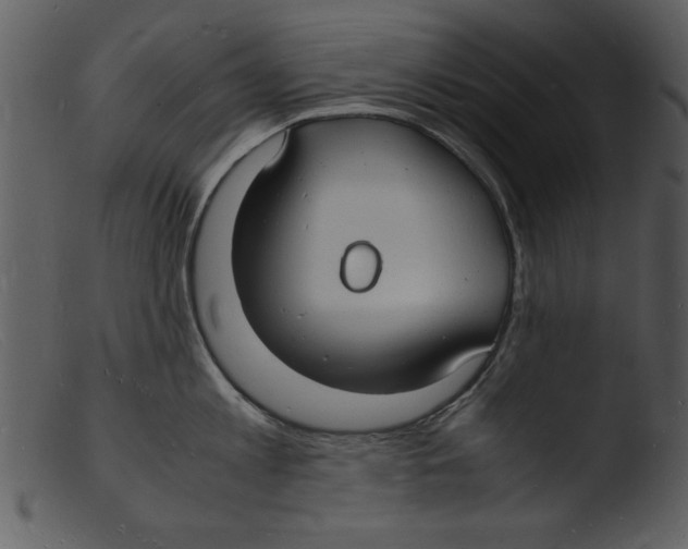 X0000103290813200809261248