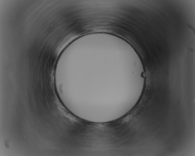 X0000103290814200809261248