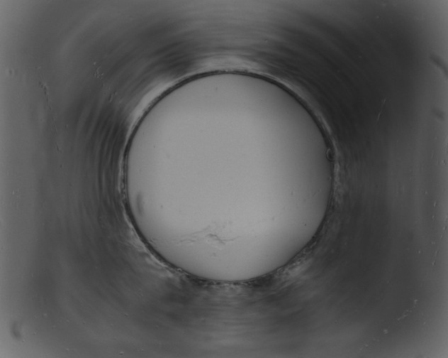 X0000103290815200809261248