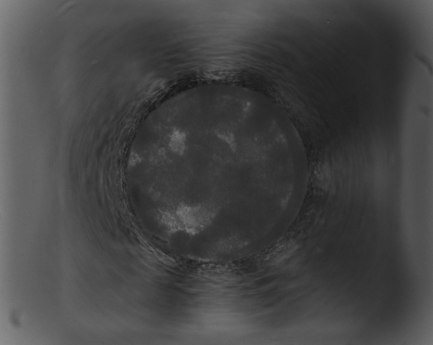 X0000103290817200809261247