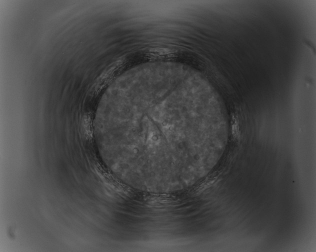 X0000103290819200809261247