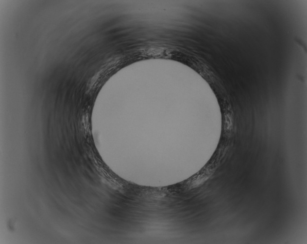 X0000103290820200809261247