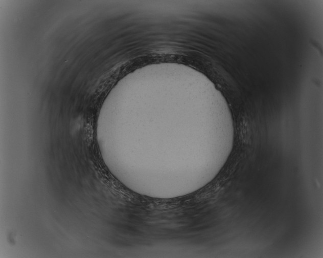 X0000103290821200809261247