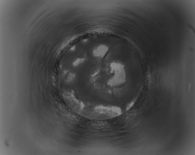 X0000103290823200809261247