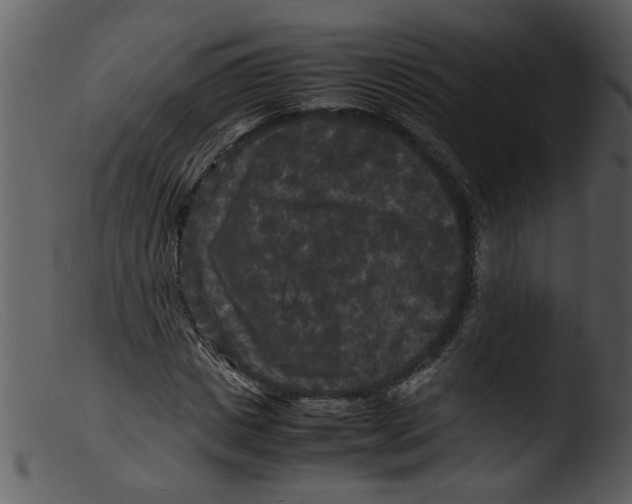 X0000103290825200809261247