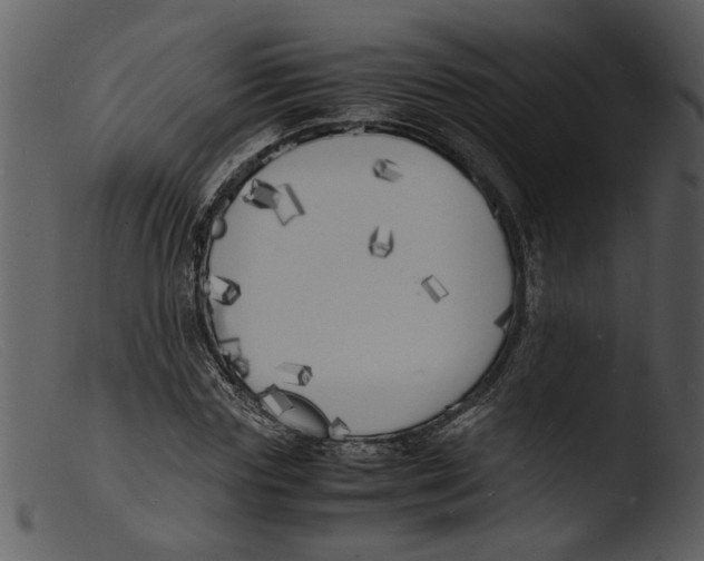 X0000103290827200809261247