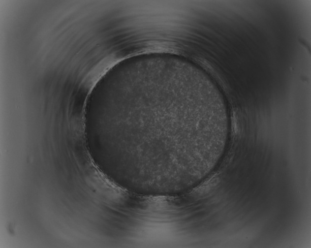 X0000103290828200809261247
