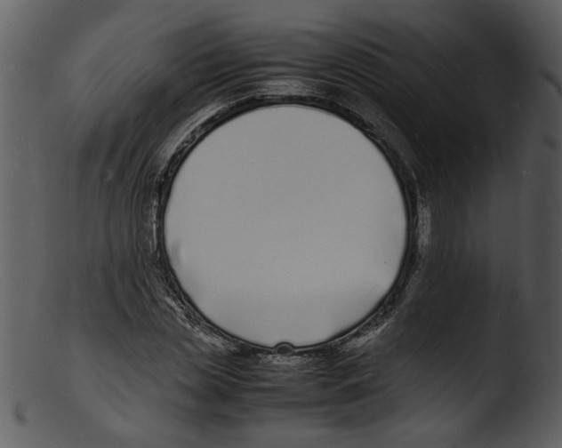 X0000103290829200809261247