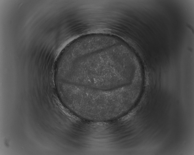 X0000103290830200809261247