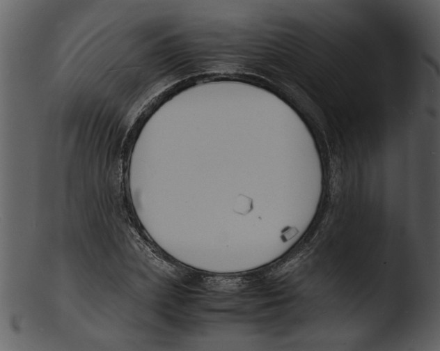 X0000103290831200809261247