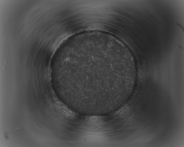X0000103290832200809261247