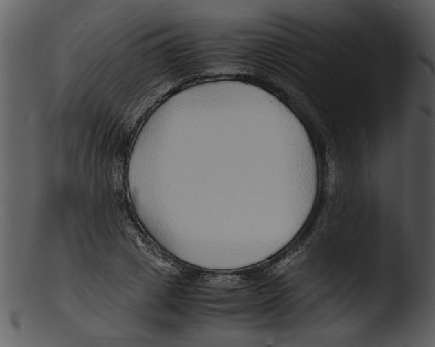 X0000103290833200809261247