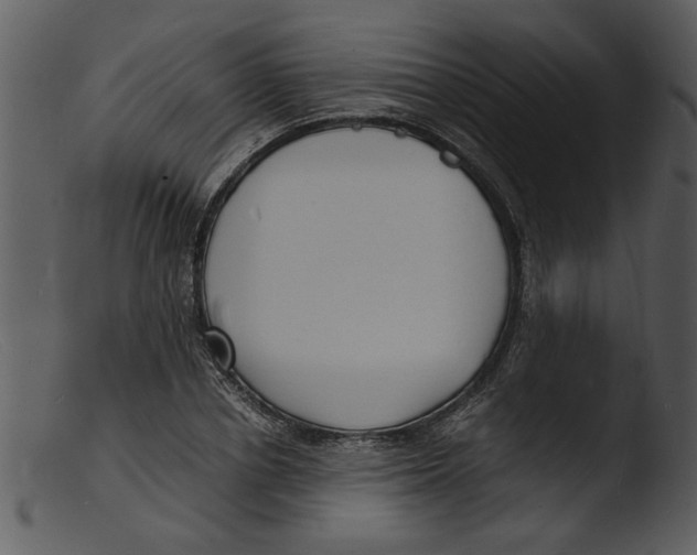 X0000103290834200809261247