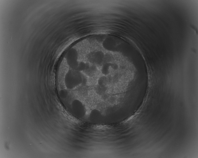 X0000103290835200809261248