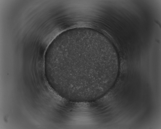 X0000103290836200809261248