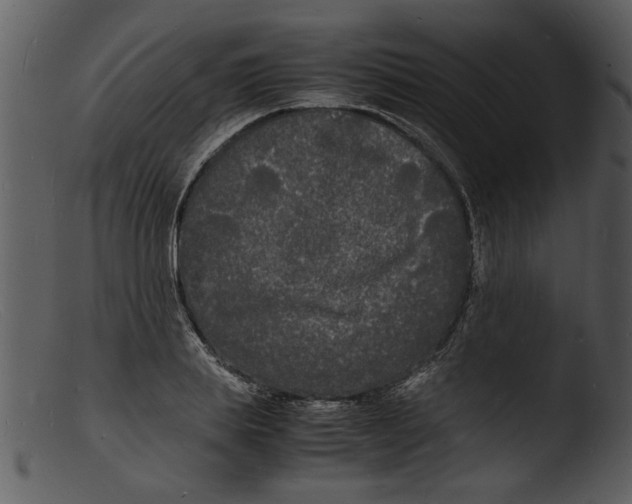 X0000103290839200809261248