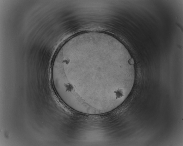 X0000103290840200809261248