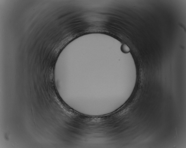 X0000103290841200809261248