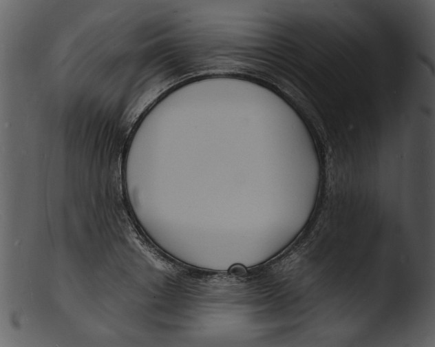 X0000103290842200809261248