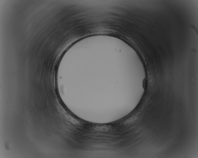 X0000103290843200809261248