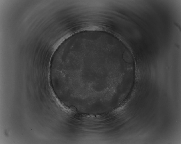 X0000103290845200809261248