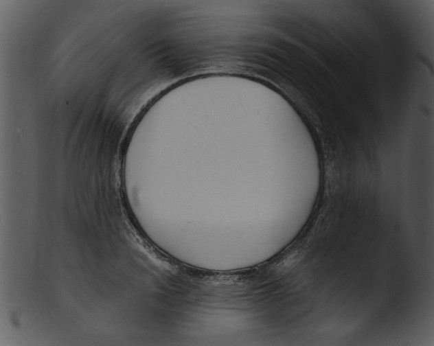 X0000103290846200809261248