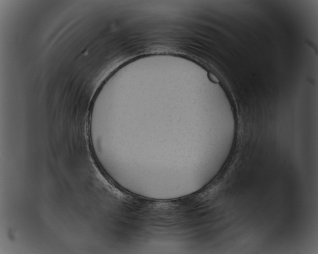 X0000103290847200809261248