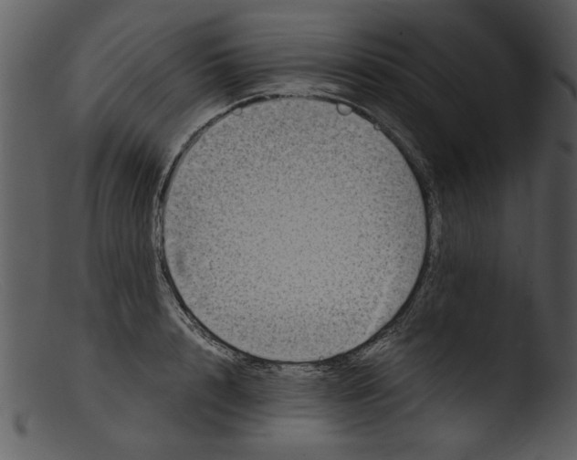 X0000103290848200809261248