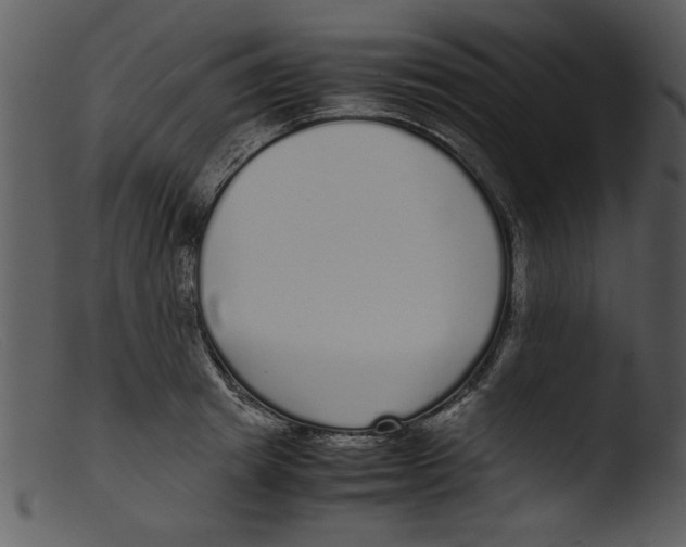 X0000103290849200809261248