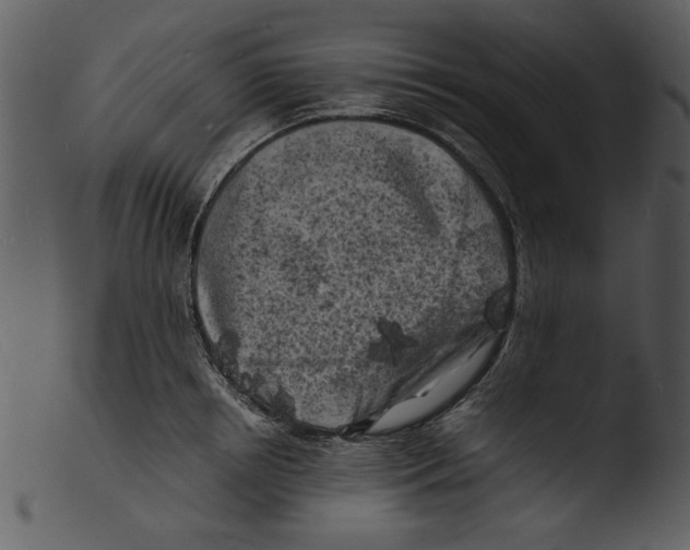 X0000103290850200809261248