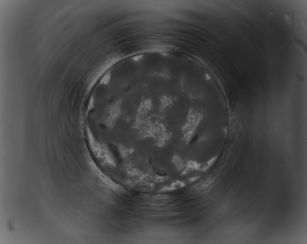 X0000103290851200809261248
