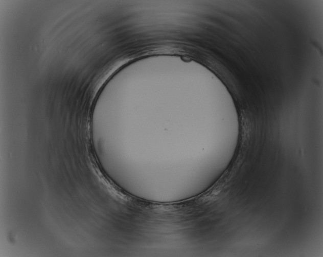 X0000103290852200809261248